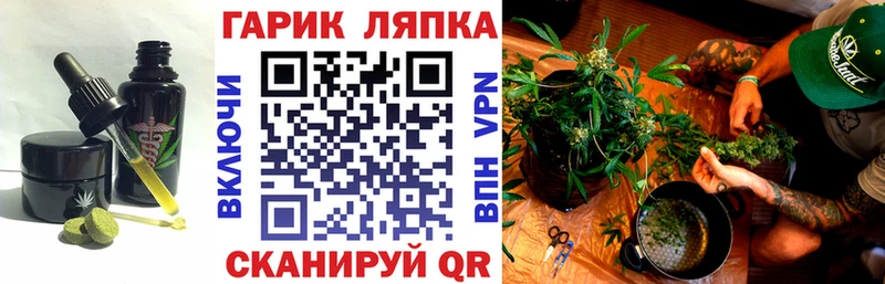 omg ссылка  мориарти телеграм  Заполярный  Canna-Cookies конопля  дарнет шоп 