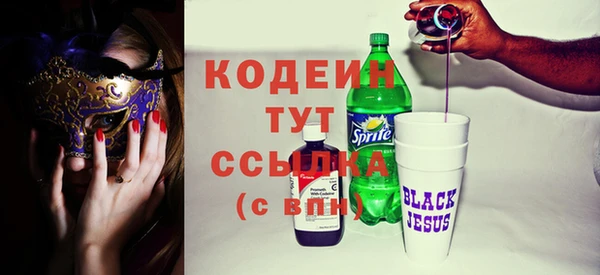 шишки Сясьстрой