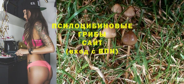 гашик Волосово